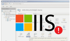 IIS